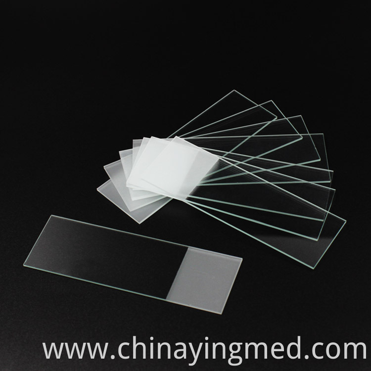 Microscope Slides 7105 1